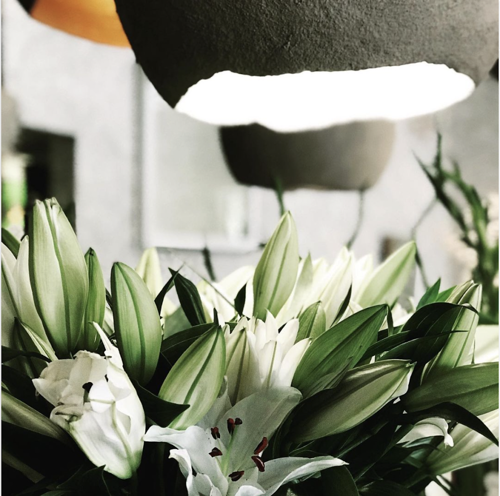 White lilies and green buds in soft studio light